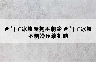 西门子冰箱漏氨不制冷 西门子冰箱不制冷压缩机响